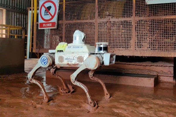 X20 quadruped robot dog